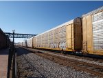 TTGX 255835